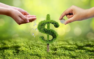 2025: le imprese italiane aumentano del 33 % la trasparenza ESG al 65 % delle aziende che pubblicano dati ambientali, sociali e di governance