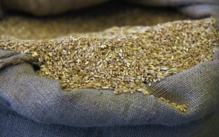 Surplus agroalimentare UE a settembre 2025: 5,4 miliardi di euro, +45% rispetto ad agosto