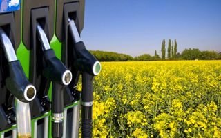 Biocarburanti: l'industria auto e petrolifera spinge l'UE, ma la domanda rischia di diventare insostenibile