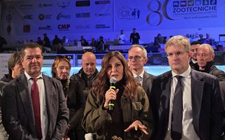 Richiesta di Articolo: Mancata Ricezione del Testo Originale