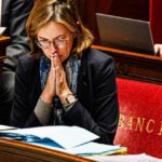 L'euro, il sedativo della crisi di bilancio francese