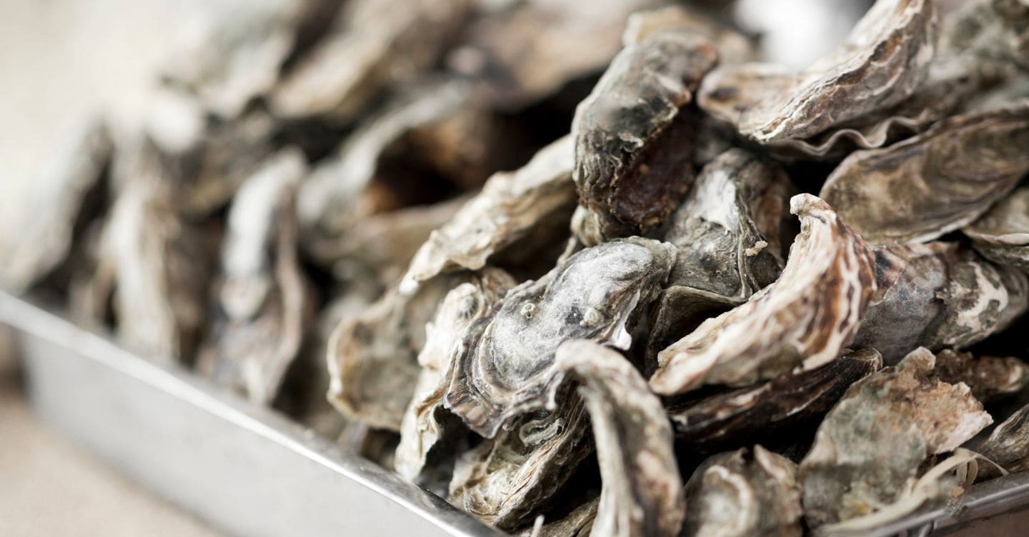 Il governo propone di ridurre l'IVA al 4% su carne, latte, ostriche e prodotti biologici