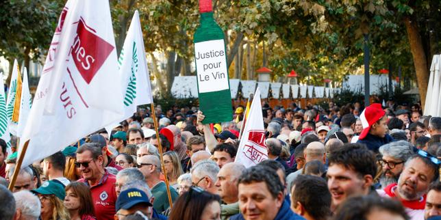 Crisi vitivinicola in Francia: quattro cause che spiegano il calo della produzione
