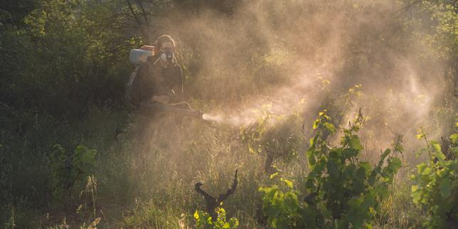 3.000 litri di pesticidi sequestrati da privati: la Francia continua a combattere l'uso illecito