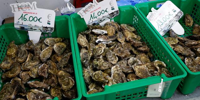 Ostriche in crisi: inflazione e restrizioni di vendita frenano la domanda, ma i prezzi salgono leggermente