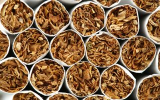 Mancanza di Dati: Perché Non Abbiamo Risposte