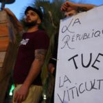 Francia: 130 milioni di euro per salvare la viticoltura, spogliamento delle viti e richiesta di riserva di crisi europea