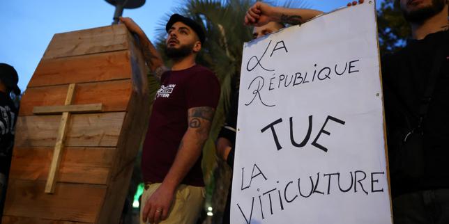 Francia: 130 milioni di euro per salvare la viticoltura, spogliamento delle viti e richiesta di riserva di crisi europea