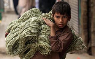 Invia l'articolo per procedere con la revisione