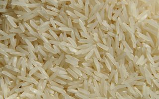 Riso dal Myanmar: Coldiretti e Filiera Italia chiedono coerenza con i valori europei