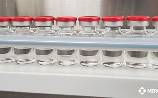 Merck ottiene Fast Track dalla FDA per nuovi anticorpi anti-Alzheimer MK‑2214 e MK‑1167