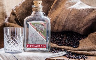 Compagnia dei Caraibi: aggiornamento dettagliato sulla relazione semestrale consolidata al 30 giugno 2025