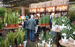 Myplant & Garden 10ª edizione: fiera green con nuove aree, workshop e focus sulla sostenibilità