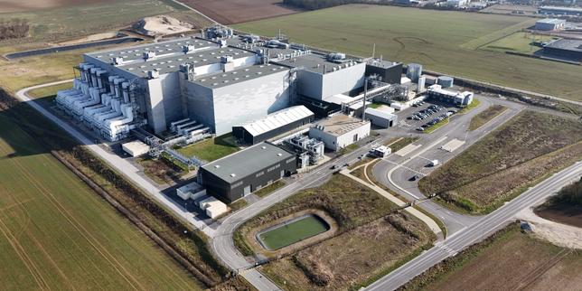 Ynsect chiusa: la startup francese delle proteine insetto fallisce per costi troppo alti