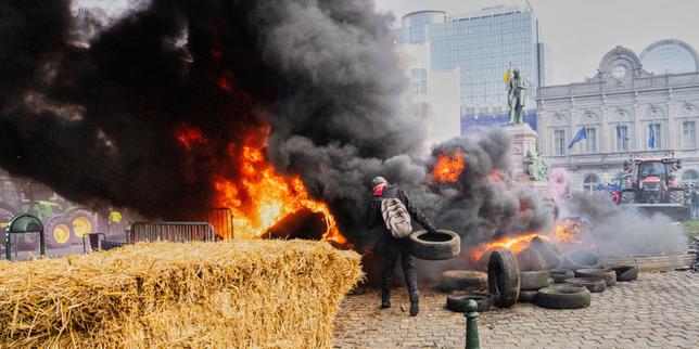 Agricoltori francesi a Bruxelles: dermatosi bovina, accordo UE‑Mercosur e riforme della PAC in crisi