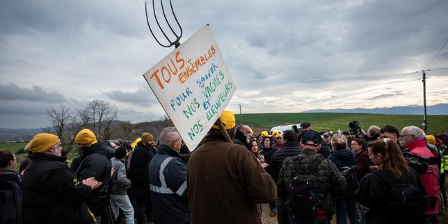 Protocollo PCR in Ariège per salvare 208 vacche dall’abattimento