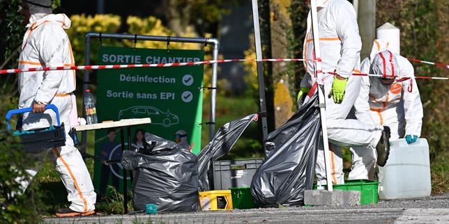 Superamento del limite di 80 allevamenti di pollame: terza dose di vaccino obbligatoria nelle zone Vendée e Adour