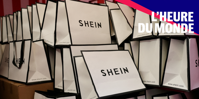 Shein rischia la sospensione in Francia a causa di bambole sessuali pedopornografiche