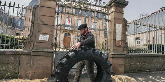 Agricoltori del Sud‑Ovest bloccano strade per opporsi al macellaggio totale del bestiame con dermatose nodulare contagiosa
