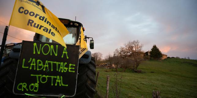 Conflitto tra sindacati agricoli sul metodo di abattimento: FNSEA accetta, altri si oppongono