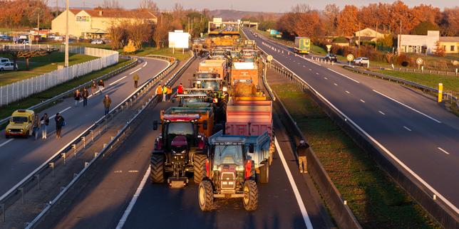 Allevatori bloccano l'A64 vicino a Tolosa in protesta contro la gestione dell'epidemia del bestiame