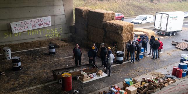 Accordo UE‑Mercosur: filiere agricole europee si dividono tra minaccia e opportunità