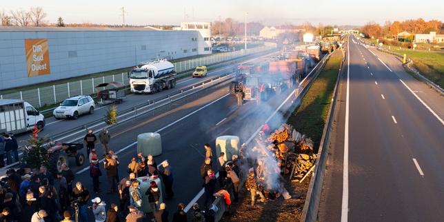 Allevatori francesi protestano contro il protocollo di abattimento della dermatose nodulare