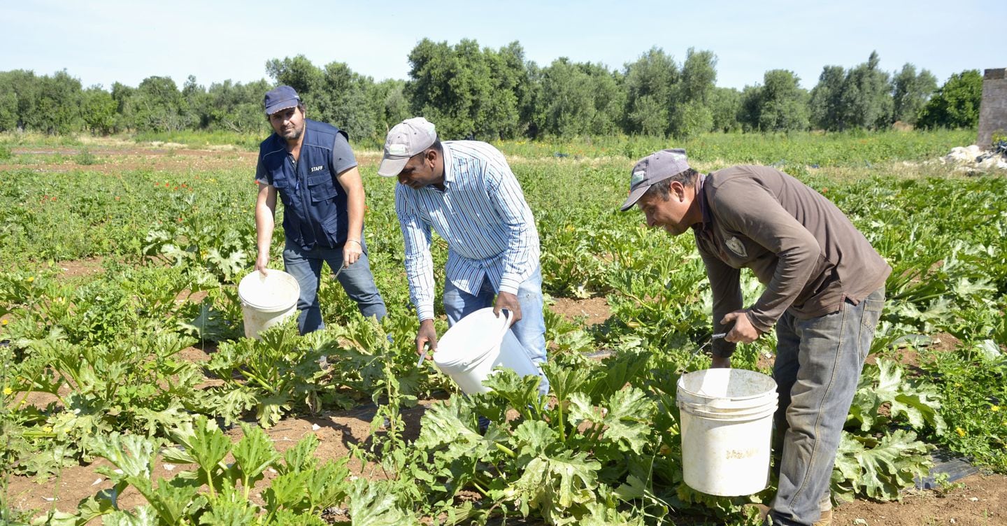 Rimesse 2025: 9 miliardi di euro, crescita del 6,4 % e Bangladesh al vertice
