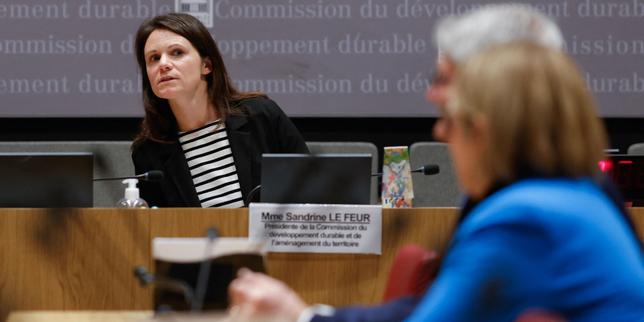 Shein inadempiente: la commissione per lo sviluppo sostenibile prepara l'azione giudiziaria contro l'azienda di moda online