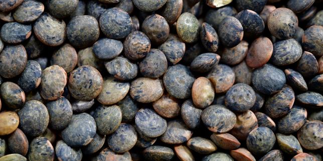 Les Perles du Gard: tre giovani viticoltori di Nîmes lanciano la produzione di lenticchie e ceci grazie al bonus di ritiro