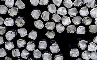 Steel Dynamics: record di spedizioni di acciaio previsto per il 2025, 2024 con performance solida