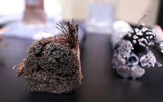 Planetel e Università del Salento: partnership per l’innovazione software nelle telecomunicazioni