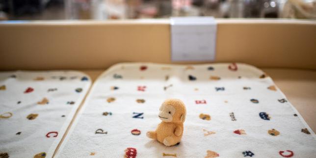 Giappone in crisi demografica: nascite al minimo storico e resistenza all'immigrazione