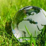 CDP nomina BASF leader mondiale nella tutela delle foreste e del clima