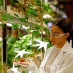 335 milioni di euro: BEI e BNL BNP Paribas sostengono le imprese italiane