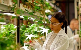 335 milioni di euro: BEI e BNL BNP Paribas sostengono le imprese italiane