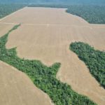 Accordo UE‑Mercosur: l’agricoltura in espansione rischia l’Amazzonia