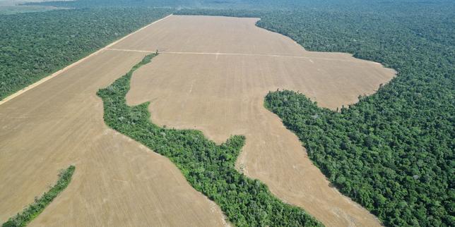Accordo UE‑Mercosur: l’agricoltura in espansione rischia l’Amazzonia