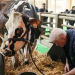 Salone di Parigi: nessun bovino a causa della dermatose nodulare, prima volta in 60 anni