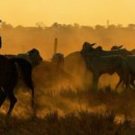 Accordo UE‑Mercosur: un nuovo alleato geopolitico per l’America del Sud