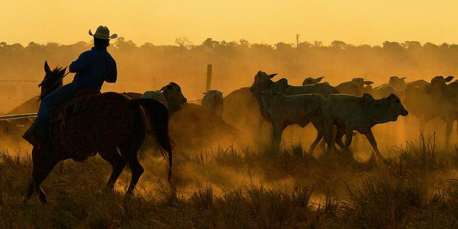 Accordo UE‑Mercosur: un nuovo alleato geopolitico per l’America del Sud