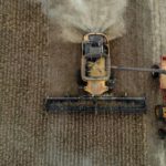 Agricoltura brasiliana: un quarto del PIL e protagonista dell’accordo UE‑Mercosur