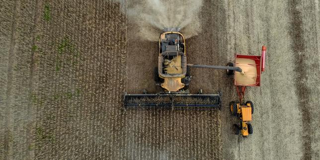 Agricoltura brasiliana: un quarto del PIL e protagonista dell’accordo UE‑Mercosur