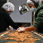 Almonds in disputa: i piccoli produttori francesi sfidano i giganti californiani per pratiche ambientali scorrette