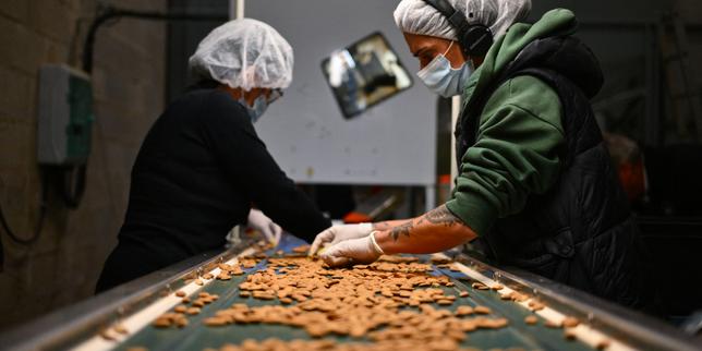 Almonds in disputa: i piccoli produttori francesi sfidano i giganti californiani per pratiche ambientali scorrette