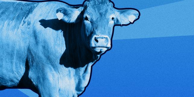 Violenza degli agricoltori: un caso eccezionale, secondo lo studioso Xavier Crettiez