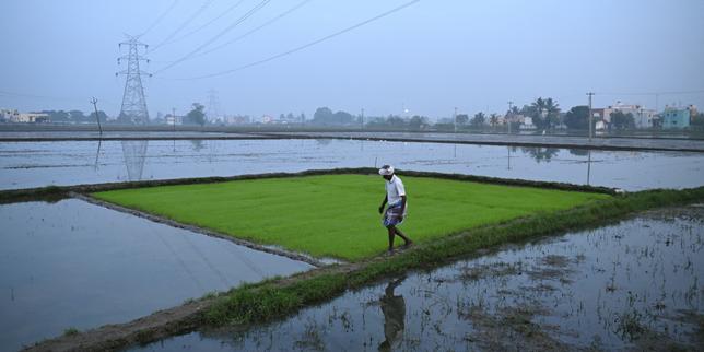 India e UE: l’agricoltura esclusa dall’accordo commerciale per proteggere la sovranità alimentare