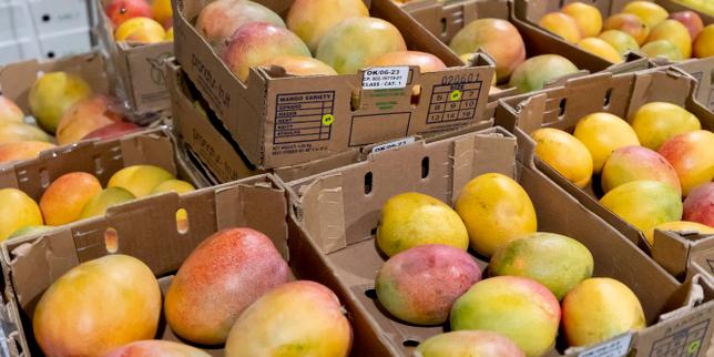 Francia blocca l'importazione di frutta e verdura trattata con pesticidi vietati dall'UE: un gesto simbolico