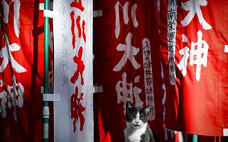 Giappone registra surplus delle partite correnti a dicembre 2025: impatti e prospettive