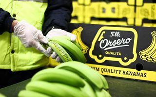 Orsero prevede ricavi di 1,74 miliardi di euro per il 2026